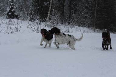 Attila med lilla syster Antonia och mamma Nele Attila med lilla syster Antonia och mamma Nele