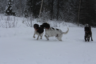 Attila med lilla syster Antonia och mamma Nele