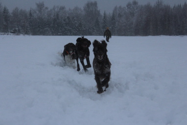 full fart och glädje