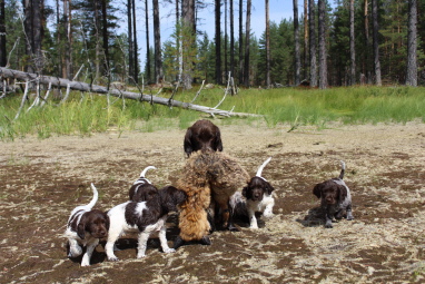 Mamma, vi hjälper dig! Mamma, vi hjälper dig!