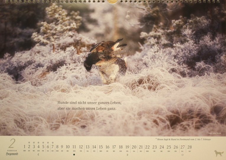 KlM - kalender februari 2021 KlM - kalender februari 2021