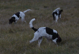 Alice, Abbe och Atlas Alice, Abbe och Atlas