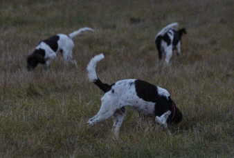 Alice, Abbe och Atlas