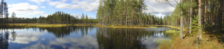 tranulökarna