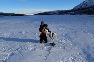 Atlas i Abisko Atlas i Abisko