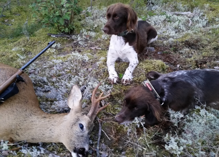 Nele und Toni mit dem Bock Nele und Toni mit dem Bock