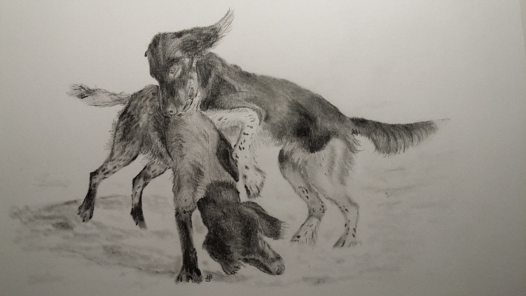 Ein bild des Kunstzeichners Johann Bernhard Schoen Ein bild des Kunstzeichners Johann Bernhard Schoen