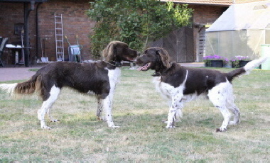 Antonia (links) und ihr Papa Caesar (rechts)