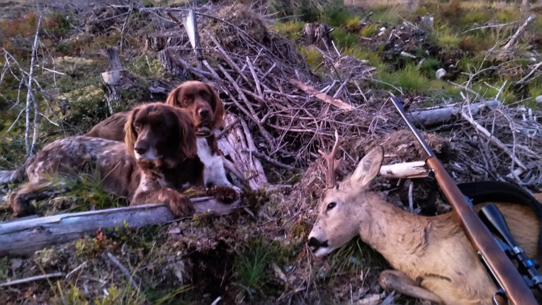 3 Mädels im Wald...