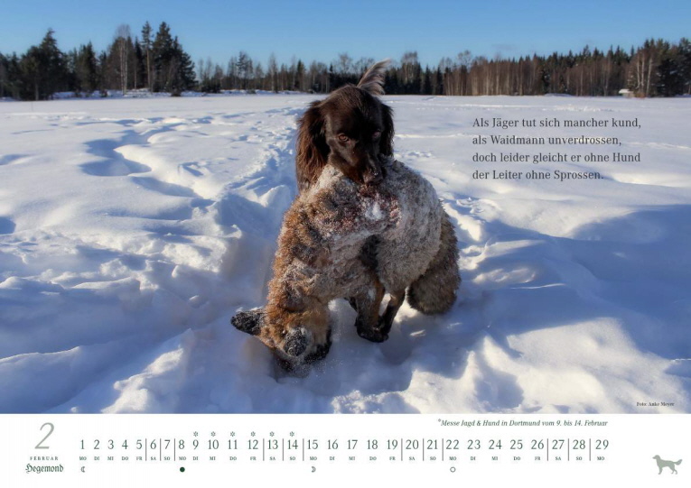 Klm Kalender 2016