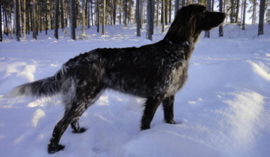 Mama "Nele vom Wolfsbau" Mama "Nele vom Wolfsbau"