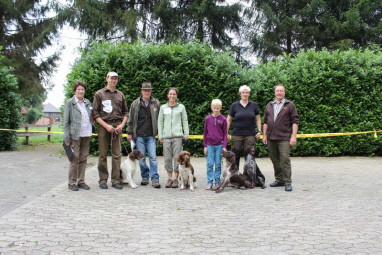 Die 4 schönsten Hündinnen und die Richter