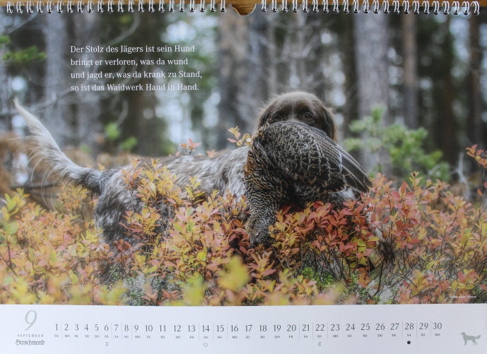 Nele KlM - kalender 2019 Nele KlM - kalender 2019